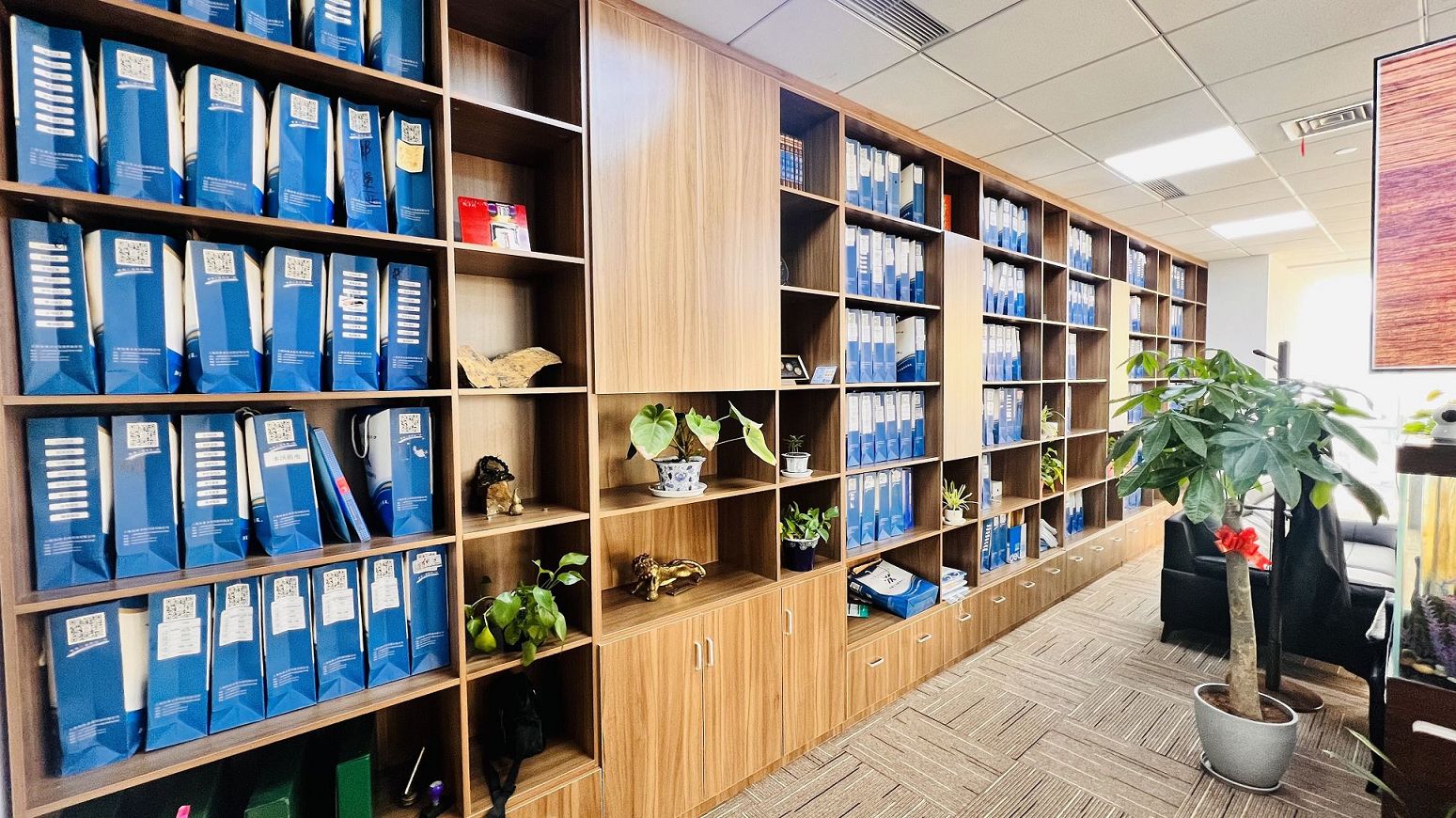 社会团体的审批和注册过程是什么？